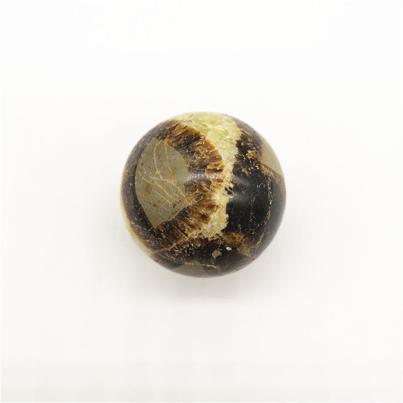 Natural Turtle Back Stone Ball Original Stone Feng Shui Ornaments Hand Playing With Fossils