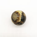 Natural Turtle Back Stone Ball Original Stone Feng Shui Ornaments Hand Playing With Fossils