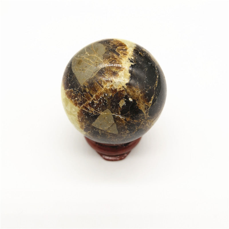 Natural Turtle Back Stone Ball Original Stone Feng Shui Ornaments Hand Playing With Fossils