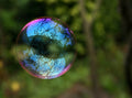 Giant soap bubble showing thin-film interference colours from surface tension