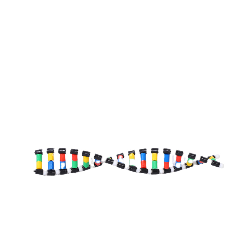 DNA Double Helix Model Biology Teaching Aid