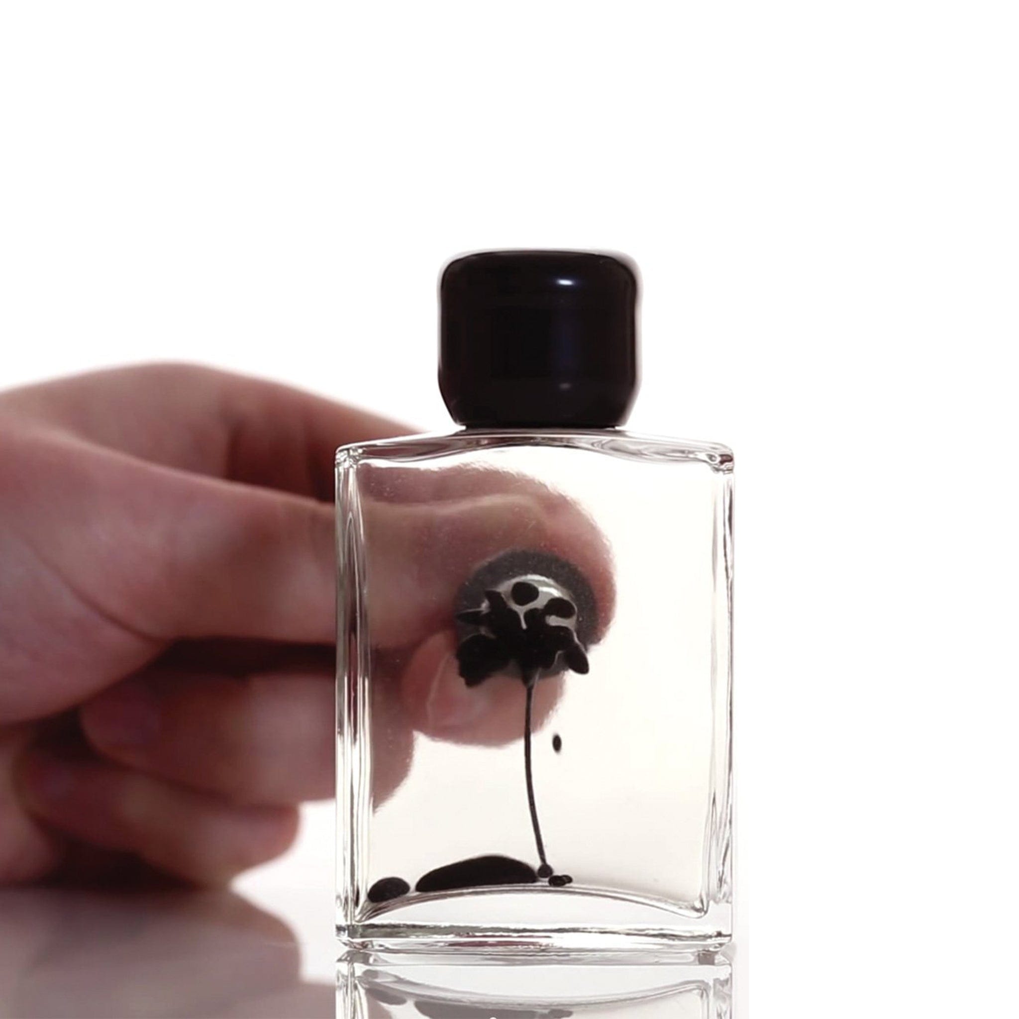 Ferrofluid Magnetic Display — Physics of Field Lines in a Vial