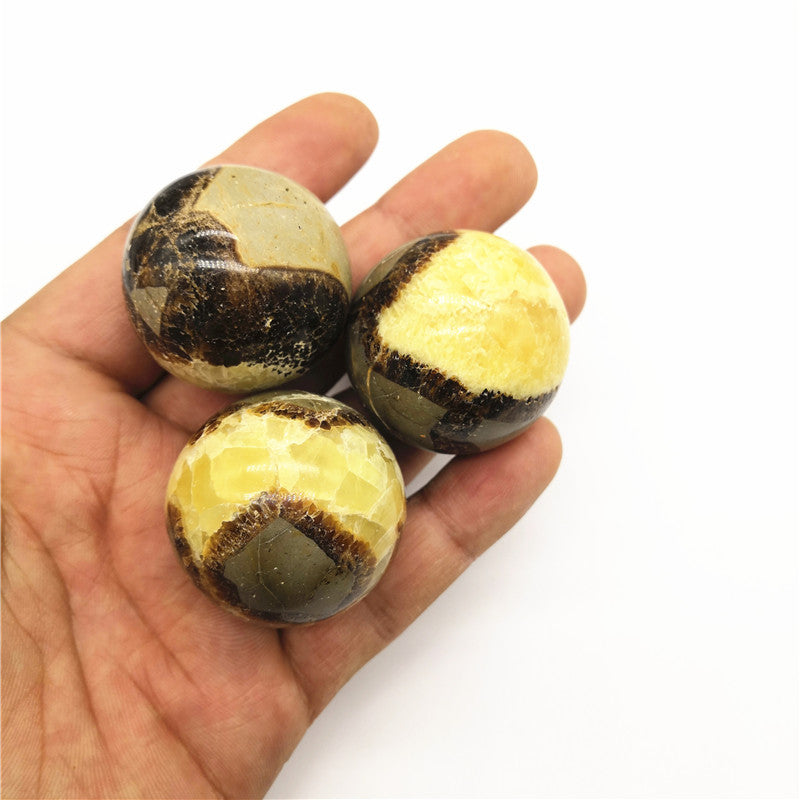 Natural Turtle Back Stone Ball Original Stone Feng Shui Ornaments Hand Playing With Fossils