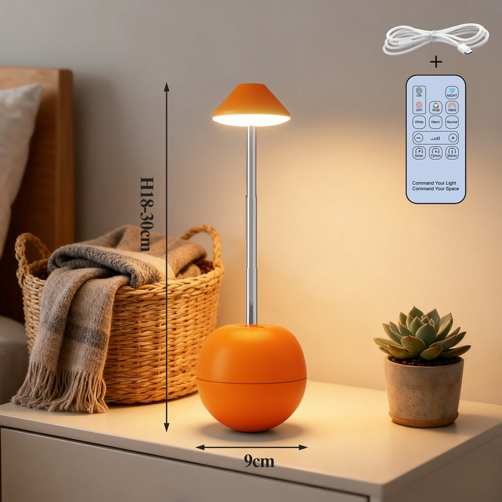 Rechargeable LED Decorative Table Lamp — Remote Control
