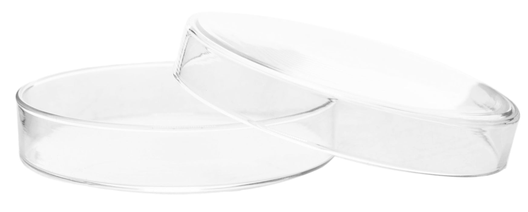Borosilicate glass petri dish 90x15mm laboratory biology culture