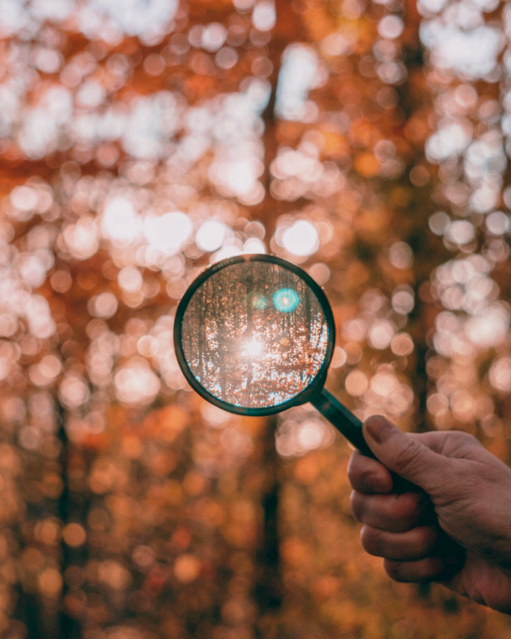 Hand holding magnifying glass against bright light in forest