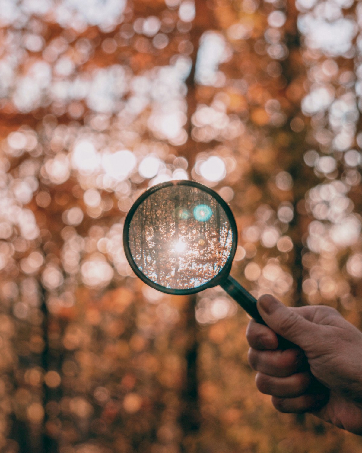 Hand holding magnifying glass against bright light in forest