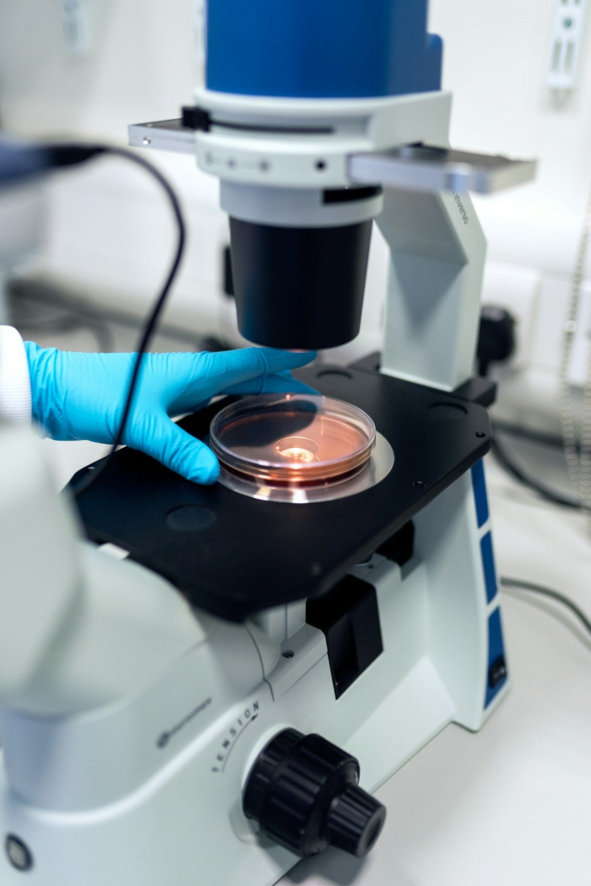Lab technician placing petri dish under research microscope with blue lighting