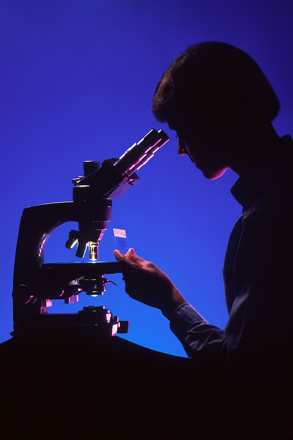 Silhouette of researcher working at microscope in blue laboratory light