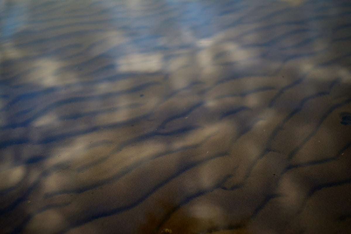 Standing wave vibration patterns in sand on metal plate